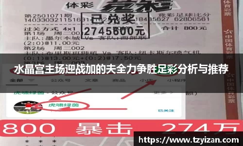 水晶宫主场迎战加的夫全力争胜足彩分析与推荐